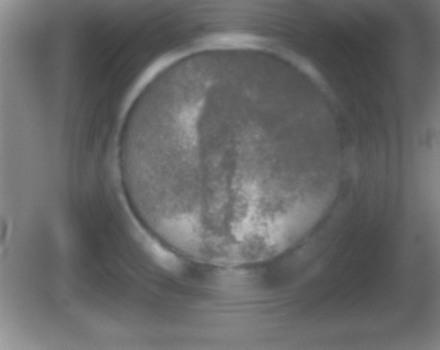 X0000081601470200701221124