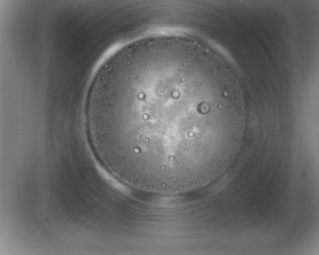 X0000081601471200701221124