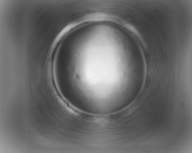 X0000081601472200701221124