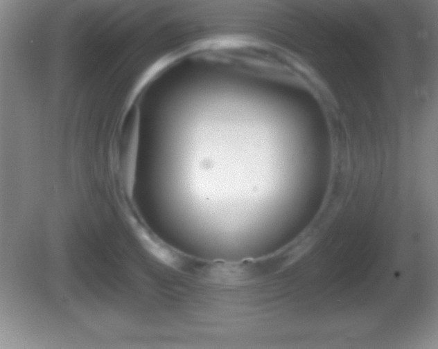 X0000081601473200701221124