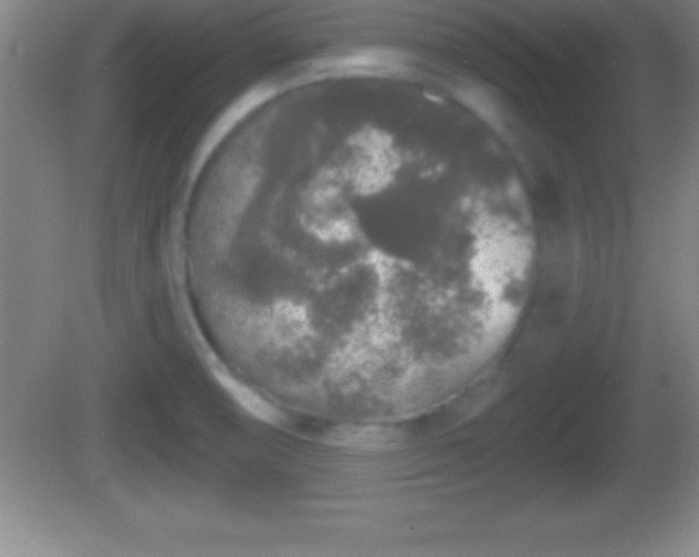 X0000081601474200701221124