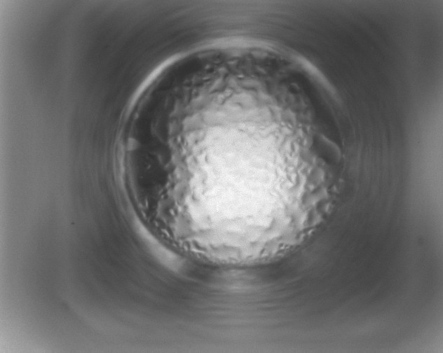 X0000081601476200701221124