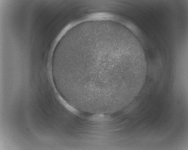 X0000081601478200701221124