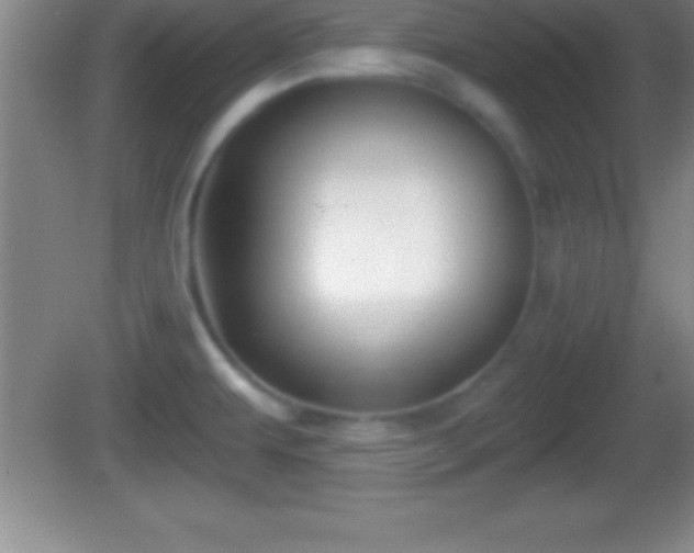 X0000081601479200701221124