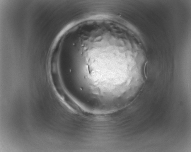 X0000081601480200701221124