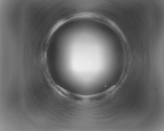 X0000081601481200701221123