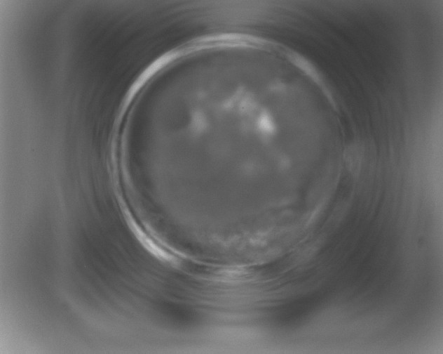 X0000081601482200701221123