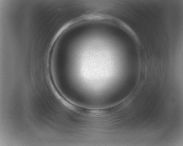 X0000081601483200701221123