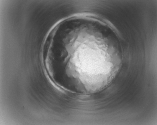 X0000081601484200701221123