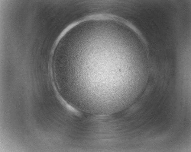 X0000081601486200701221123