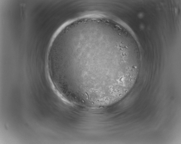 X0000081601488200701221123