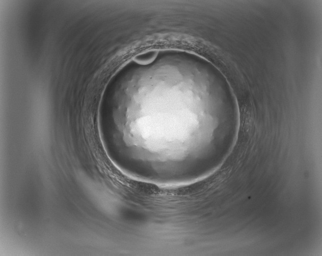 X0000081601489200701221123