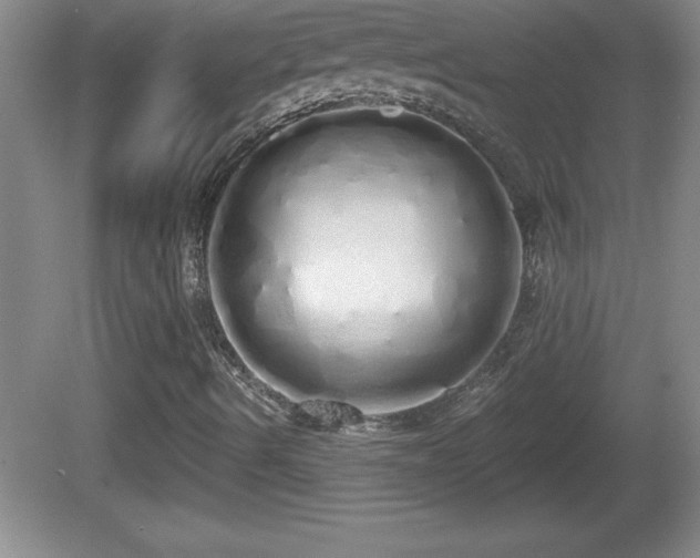 X0000081601490200701221123