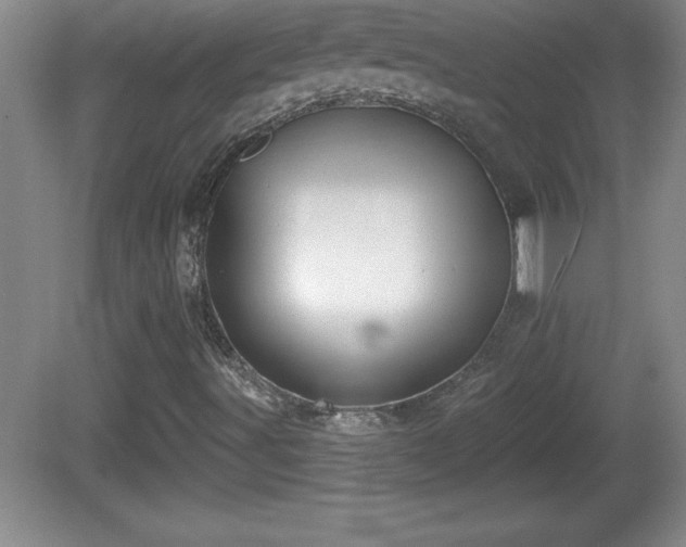 X0000081601491200701221123