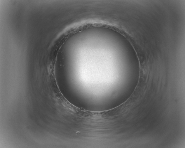 X0000081601495200701221123