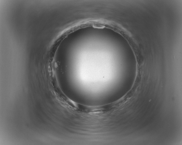 X0000081601496200701221123