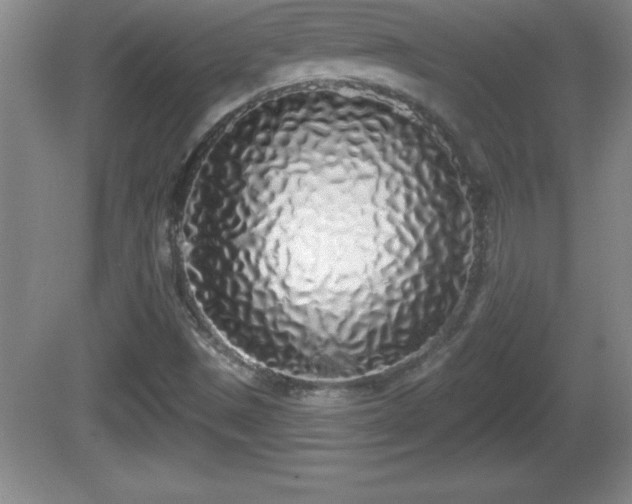 X0000081601497200701221123