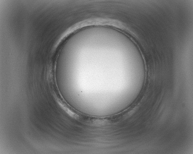 X0000081601498200701221123