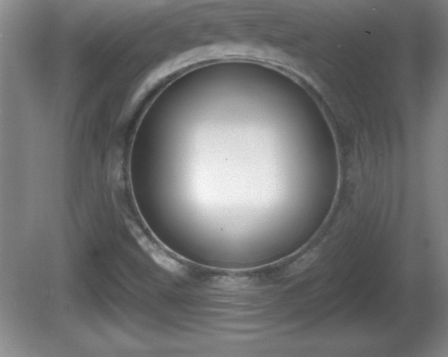 X0000081601499200701221123