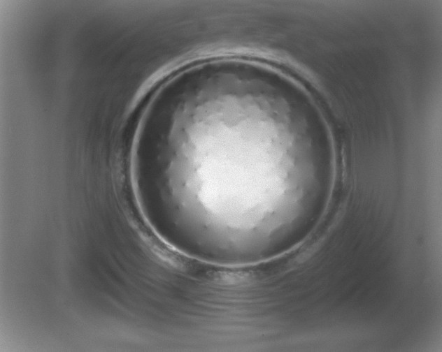 X0000081601501200701221123