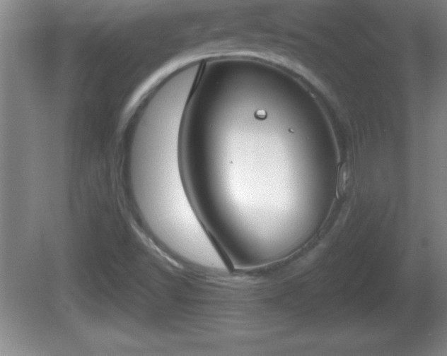 X0000081601502200701221123