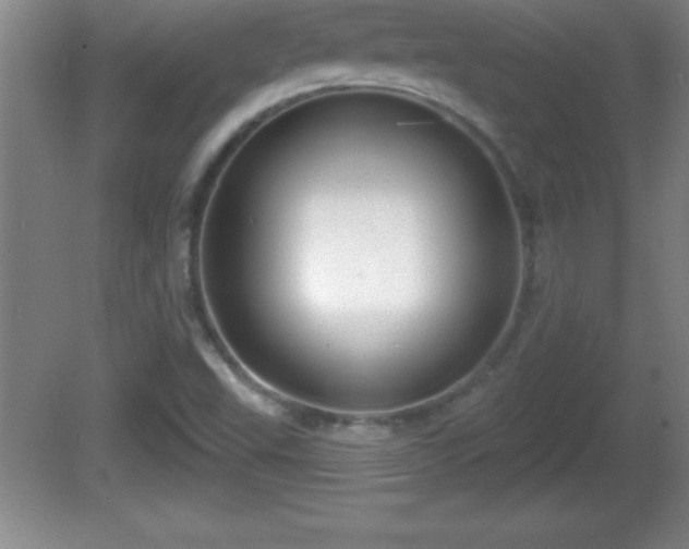 X0000081601503200701221123