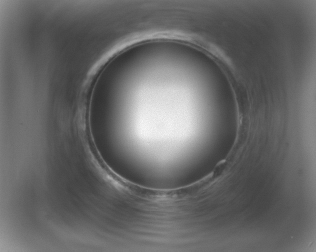 X0000081601504200701221123