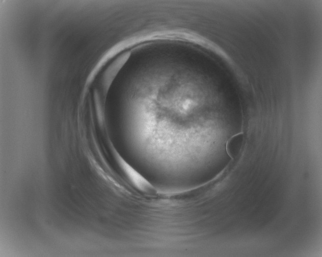 X0000081601506200701221123