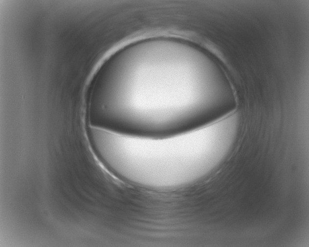 X0000081601508200701221123