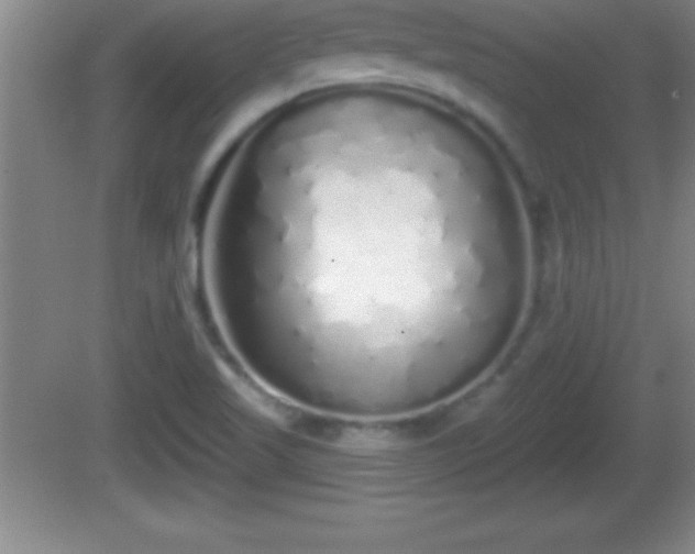 X0000081601509200701221123