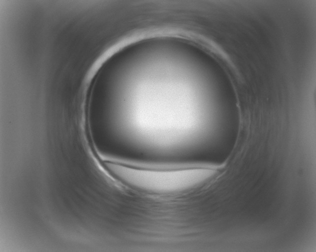 X0000081601512200701221123