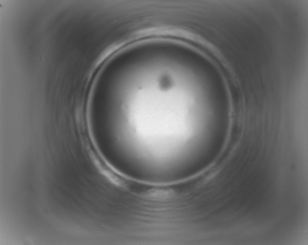 X0000081601513200701221123