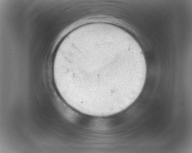 X0000081601514200701221123