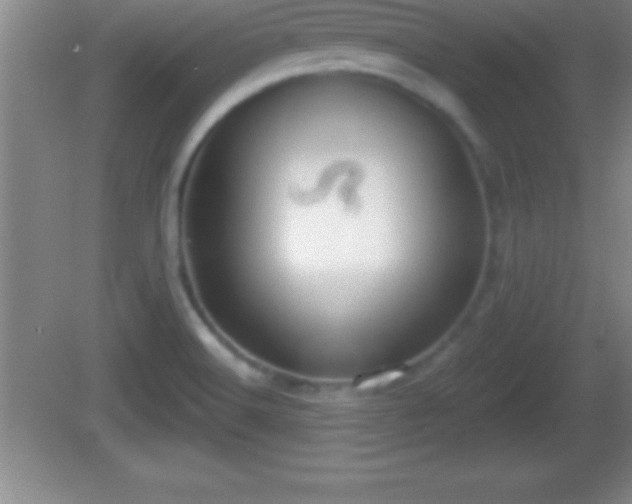 X0000081601516200701221123