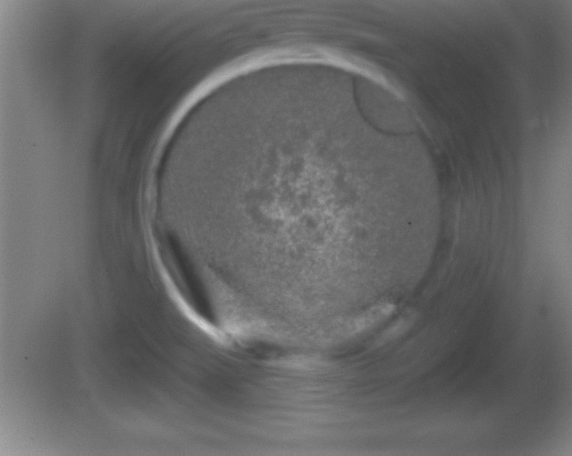 X0000081601519200701221123