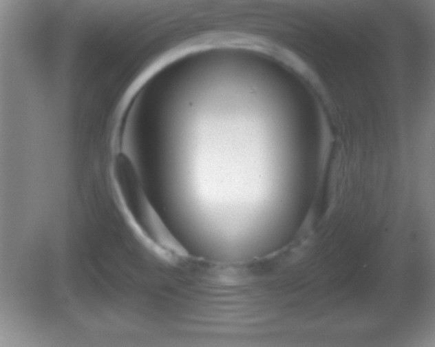 X0000081601520200701221123