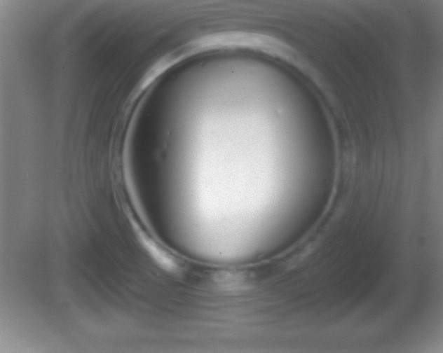 X0000081601521200701221123