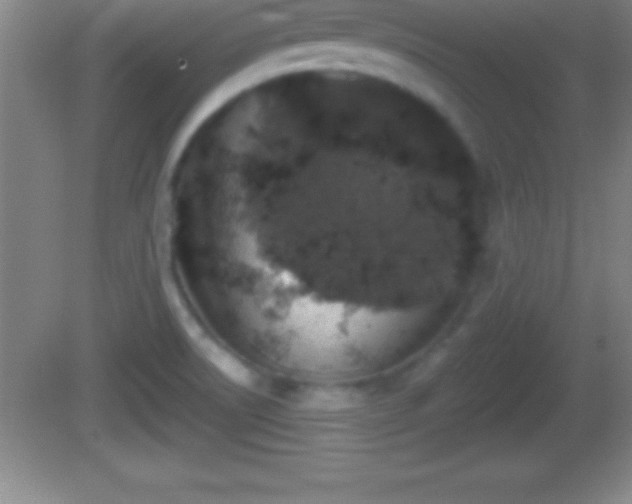 X0000081601522200701221123