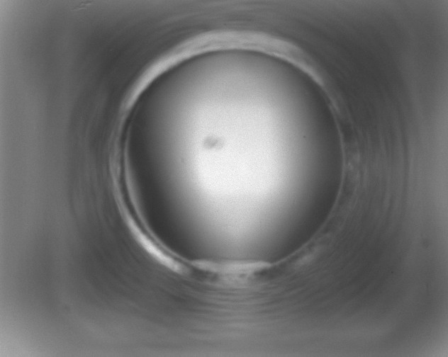 X0000081601523200701221123