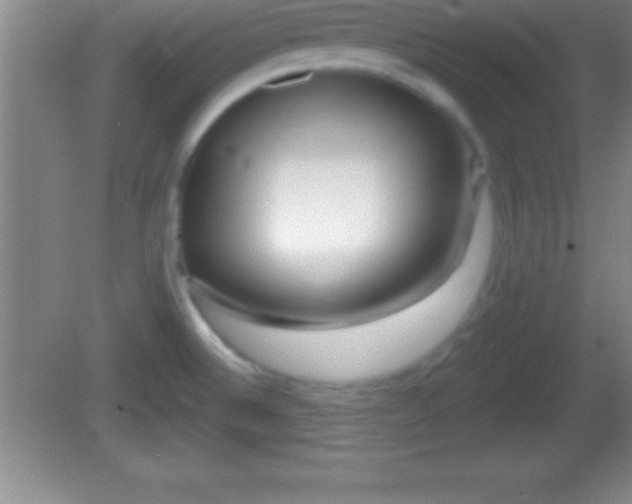 X0000081601524200701221123