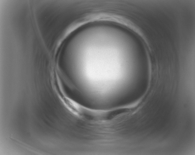 X0000081601525200701221123