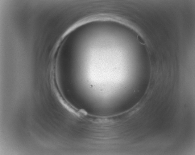 X0000081601526200701221123