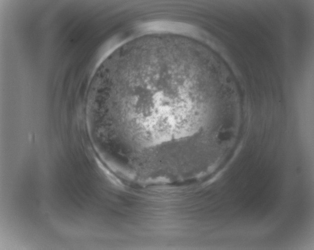 X0000081601529200701221123