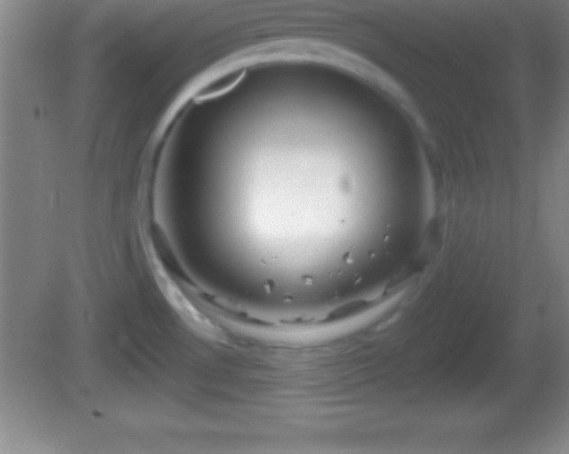 X0000081601530200701221123