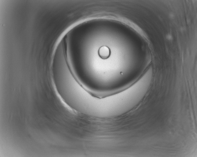 X0000081601536200701221123