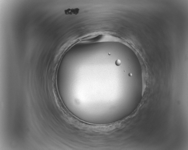 X0000081600001200701291413