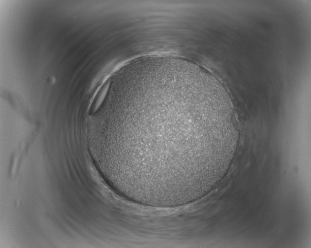 X0000081600002200701291413