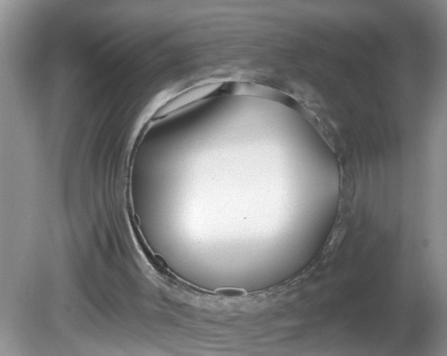 X0000081600003200701291413