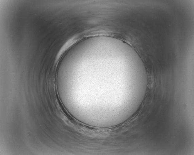 X0000081600004200701291413