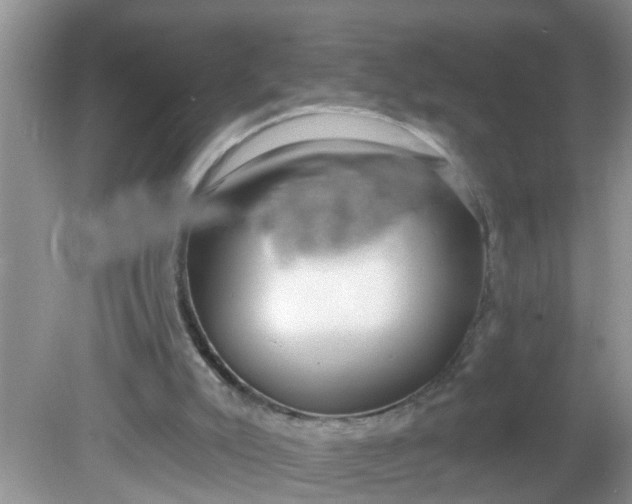 X0000081600007200701291413